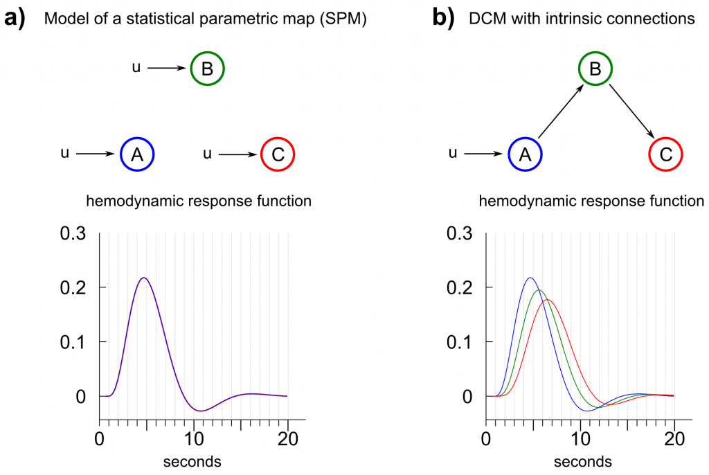 fig_spm_dcm1