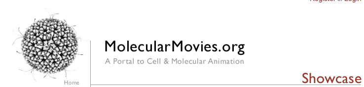 molecular_movies