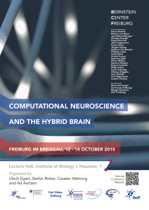 Computational Neuroscience and the Hybrid Brain_3